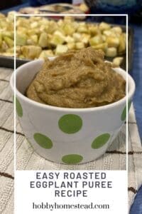 Easy Roasted Eggplant Puree Recipe