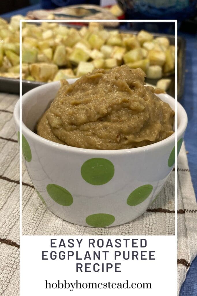 Easy Roasted Eggplant Puree Recipe