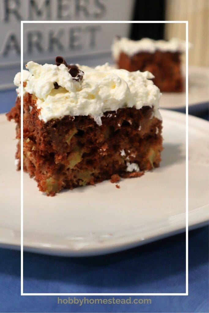 Fresh Homemade Chocolate Rhubarb Cake