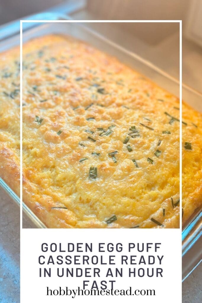 Golden Egg Puff Casserole Ready in Under an Hour Fast