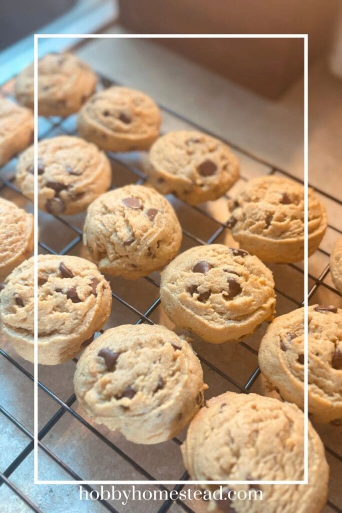 Homemade Peanut Butter Cookies with Chocolate Chips
