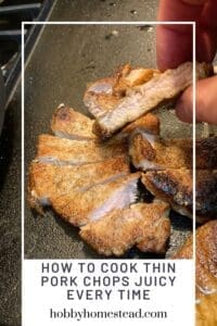 How to Cook Thin Pork Chops Juicy Every Time