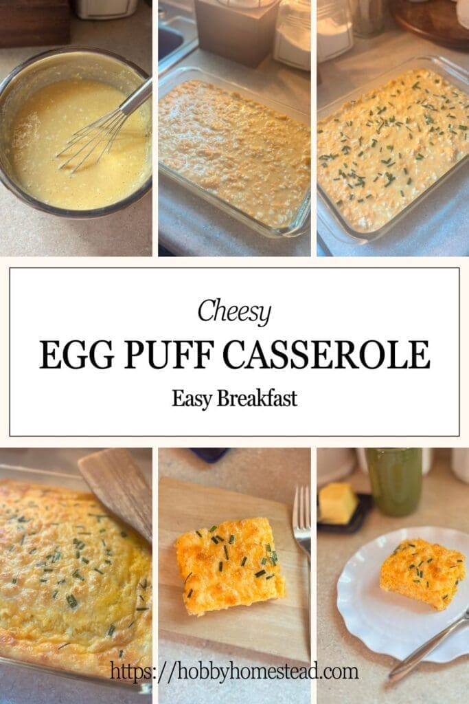 Making Cheesy Egg Puff Casserole