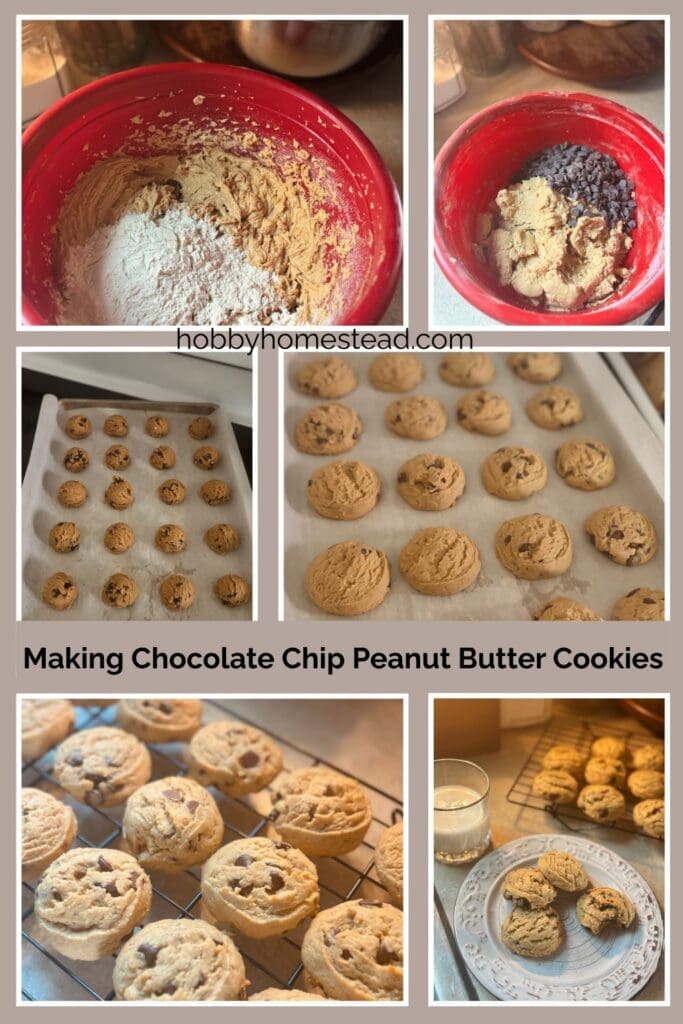 Making Chocolate Chip Peanut Butter Cookies