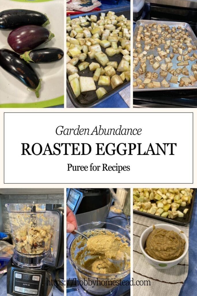Making Roasted Eggplant
