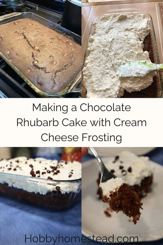 Making a Chocolate Rhubarb Cake with Cream Cheese Frosting