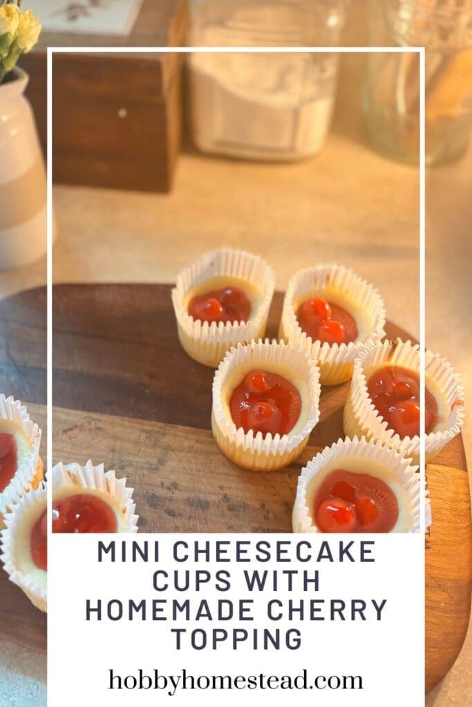 Mini Cheesecake Cups with Homemade Cherry Topping