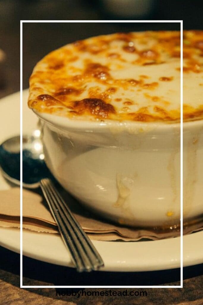Onion Soup Served in a Crock