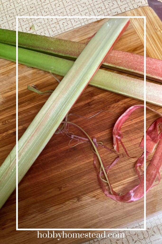 Prepping Large Rhubarb Stalks for Baking