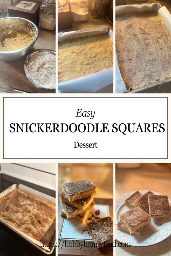 Snickerdoodle Squares