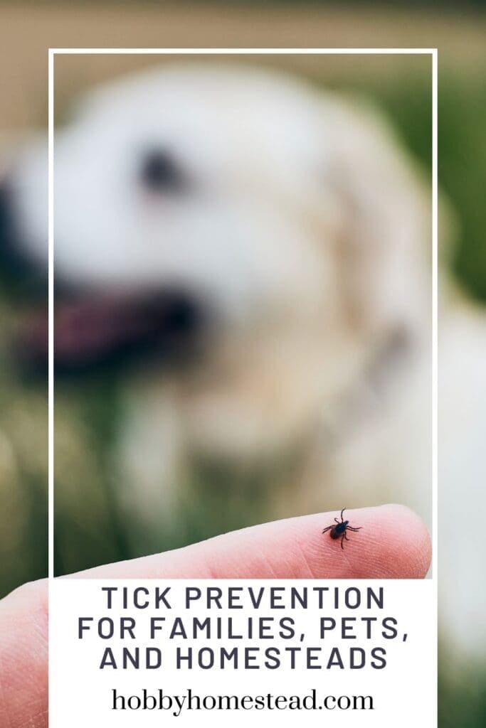 Tick Prevention for Families, Pets, and Homesteads