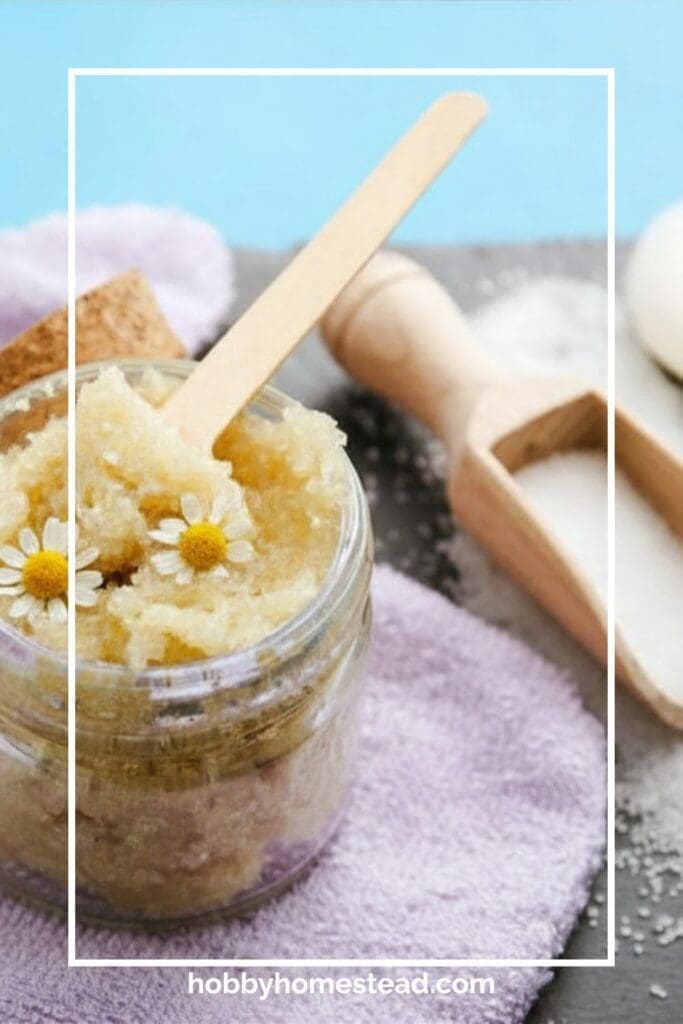 dried chamomile flower Sugar Scrub (1)