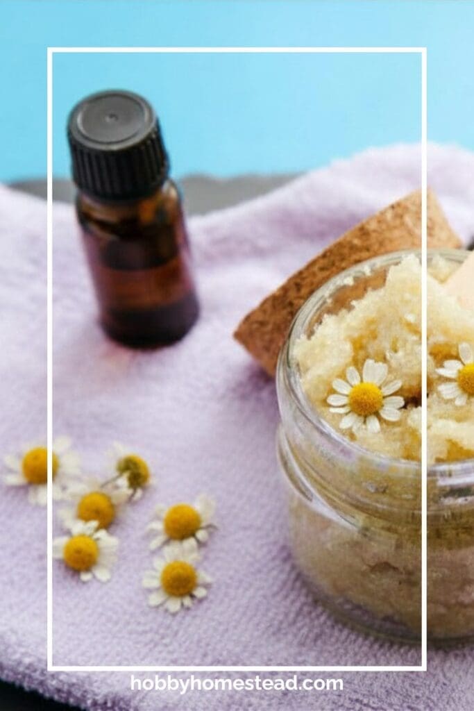 dried chamomile flower Sugar Scrub