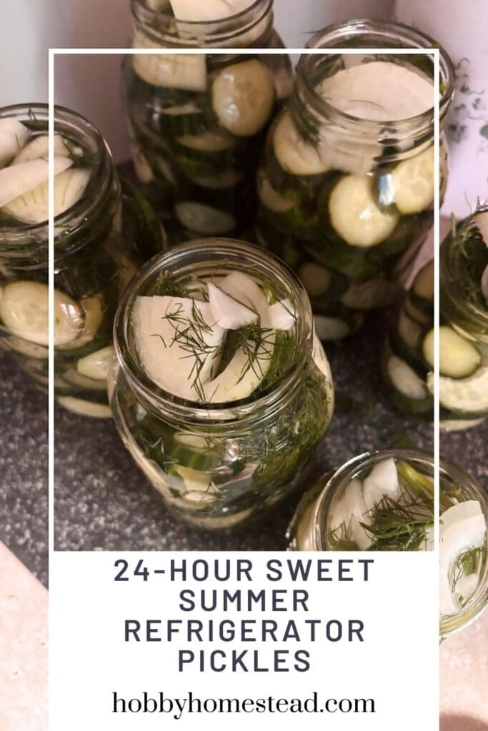 24-Hour Sweet Summer Refrigerator Pickles