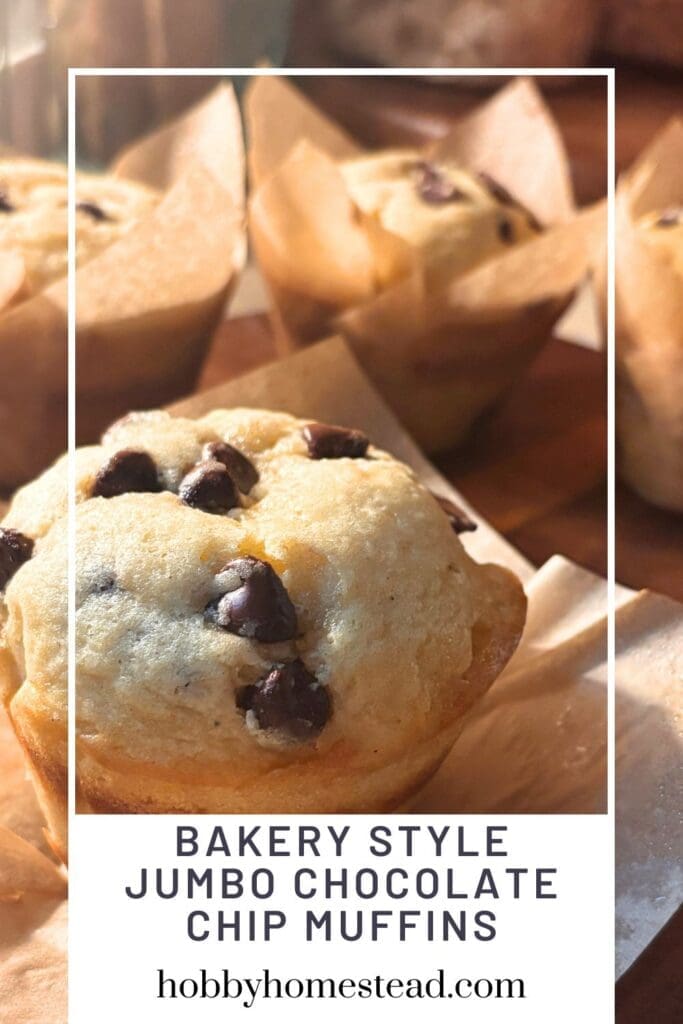 Bakery Style Jumbo Chocolate Chip Muffins