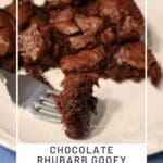 Chocolate Rhubarb Gooey Brownie Bars Recipe