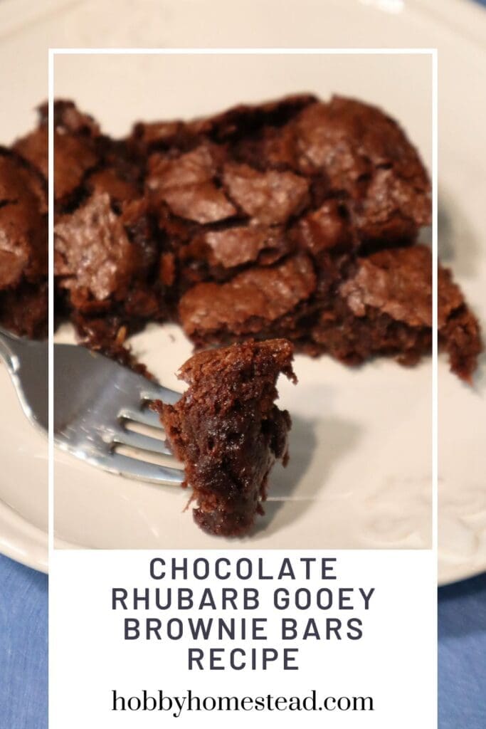 Chocolate Rhubarb Gooey Brownie Bars Recipe