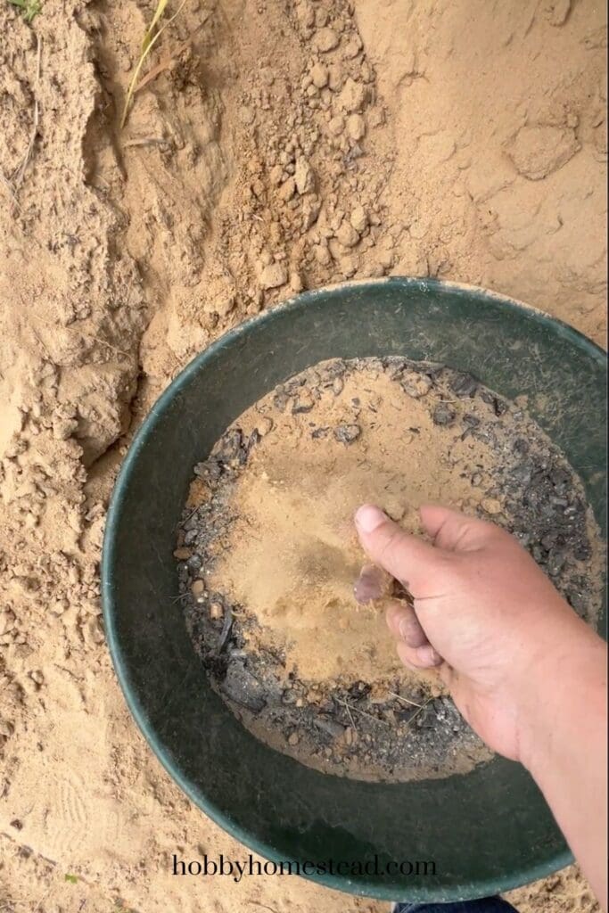 Clean Sand and Wood Ash Bath for Chickens
