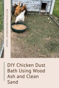 DIY Chicken Dust Bath Using Wood Ash and Clean Sand
