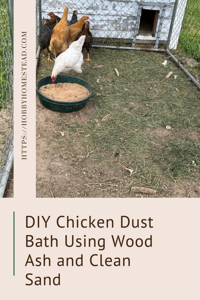 DIY Chicken Dust Bath Using Wood Ash and Clean Sand