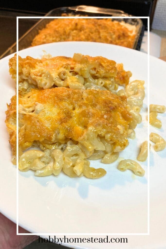 Delicious Creamy Mac and Cheese