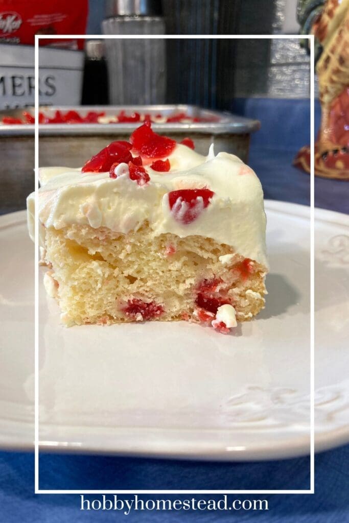 Delicious Piece of Cherry Cake for Dessert
