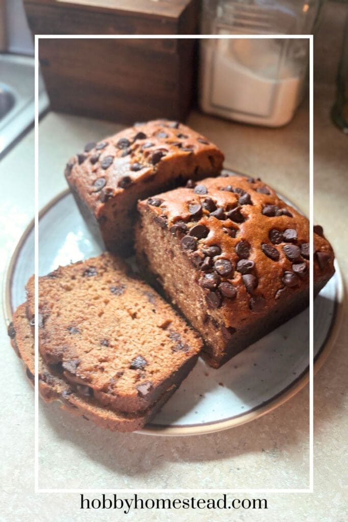Deliciously Moist Chocolate Chip Quick Bread