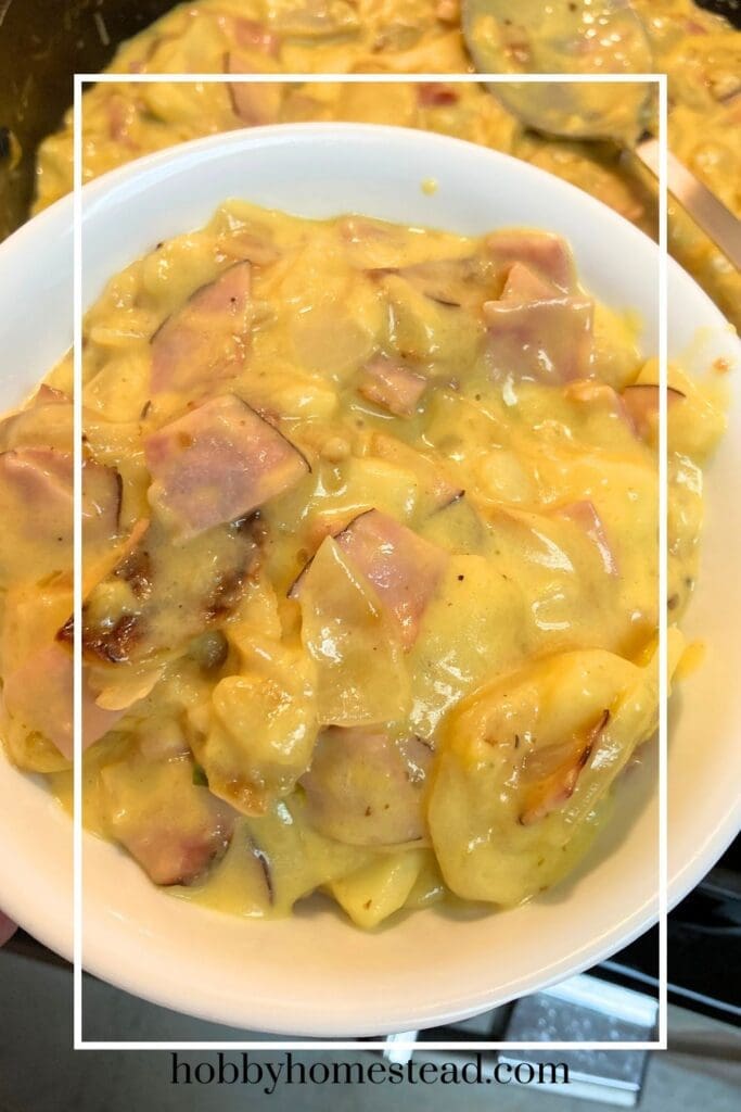 Dishing up Cheesy Ham and Potatoes