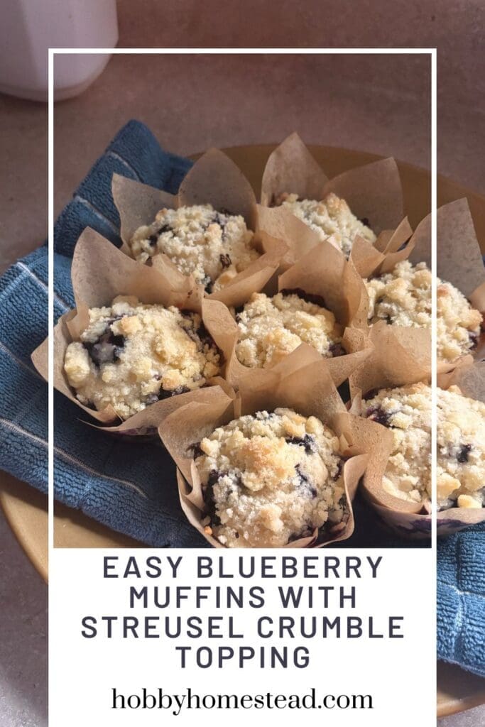 Easy Blueberry Muffins with Streusel Crumble Topping