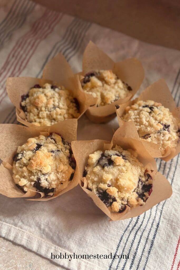 Five Bakery Style Blueberry Muffins