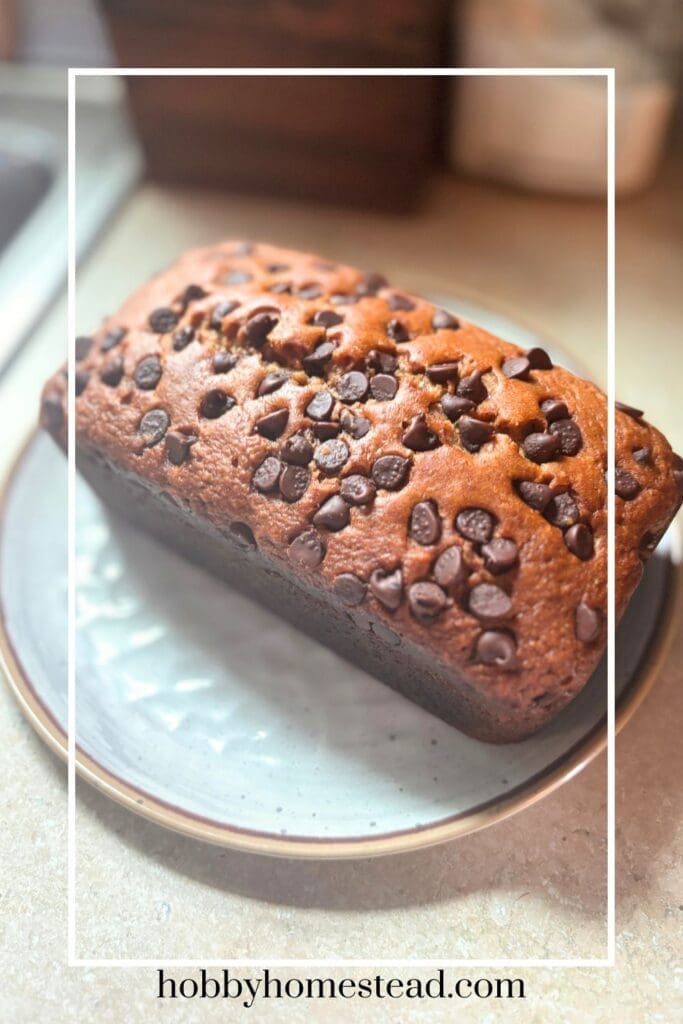 Fresh Baked Applesauce Loaf Cake Cooling