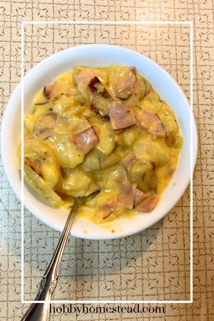 Ham and Potatoes with Cheese Sauce in Bowl