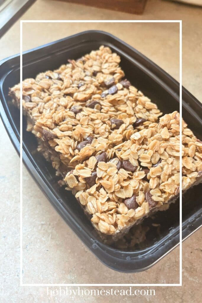 Homemade Chocolate Chip Granola Bars
