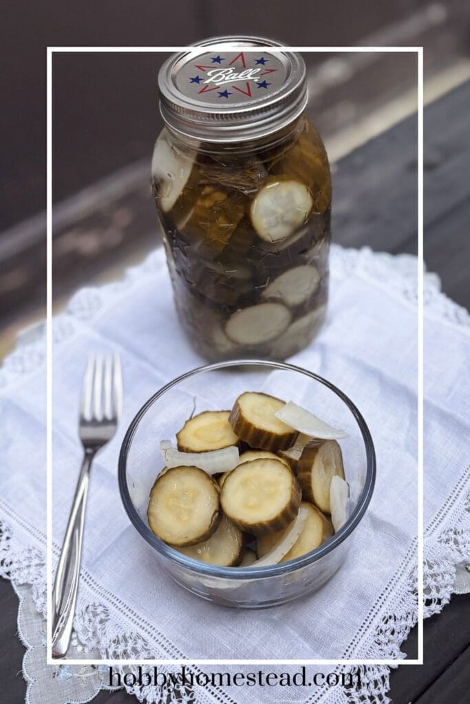 Homemade Sweet Pickles in a Day