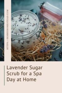 Lavender Sugar Scrub for a Spa Day at Home