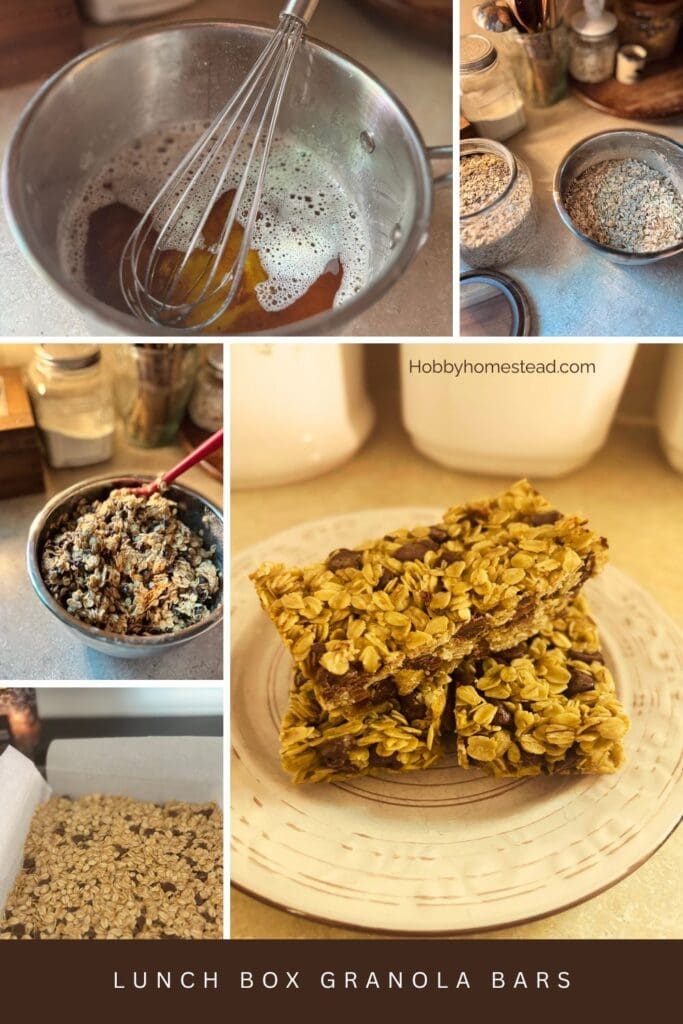 Lunch Box Granola Bars