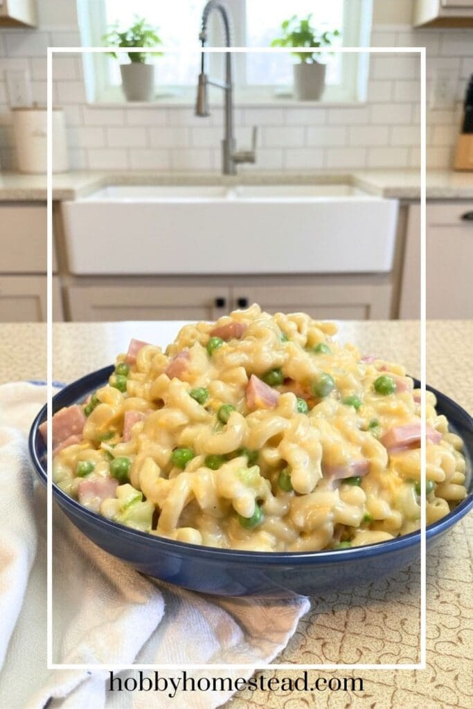 Make Ahead Ham and Vegetable Noodle Salad
