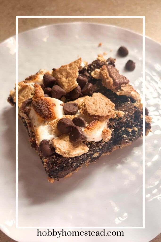 Make Ahead S'Mores for a Crowd