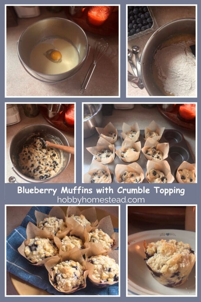 Making Blueberry Muffins with Crumble Topping