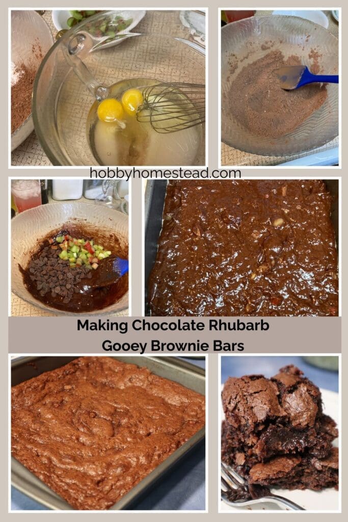 Making Chocolate Rhubarb Gooey Brownie Bars