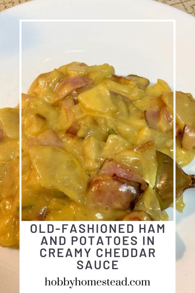 Old-Fashioned Ham and Potatoes in Creamy Cheddar Sauce