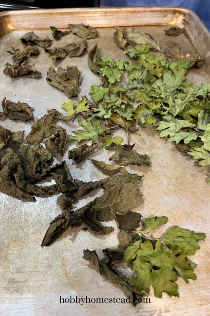 Oven Dried Herbs