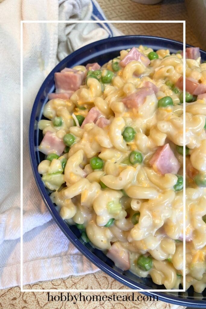 Serving Bowl Filled with Cold Pasta Salad