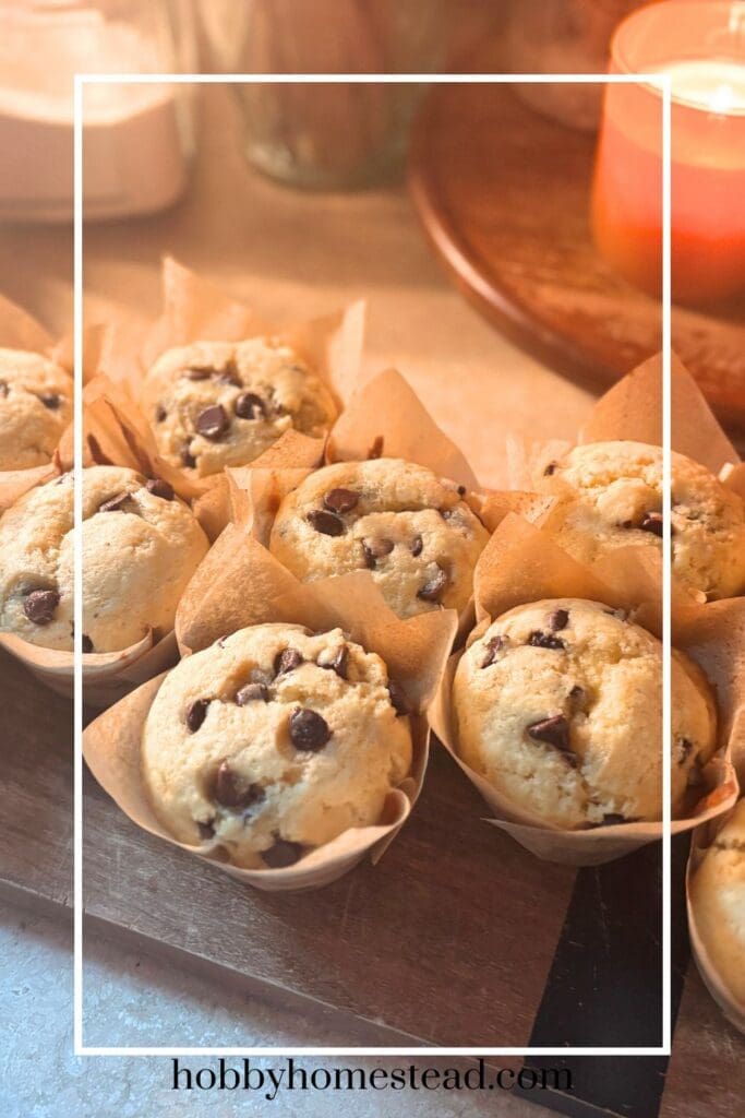 chocolate chip muffins cooling