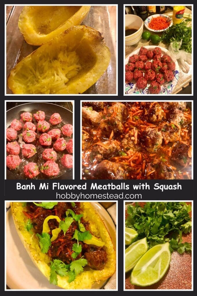 Banh Mi Flavored Meatballs with Squash