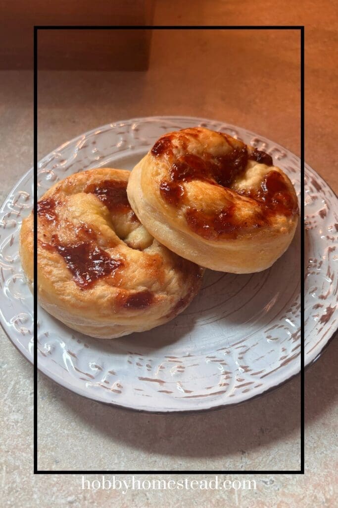 Cottage Cheese Bagels with Jelly on Top