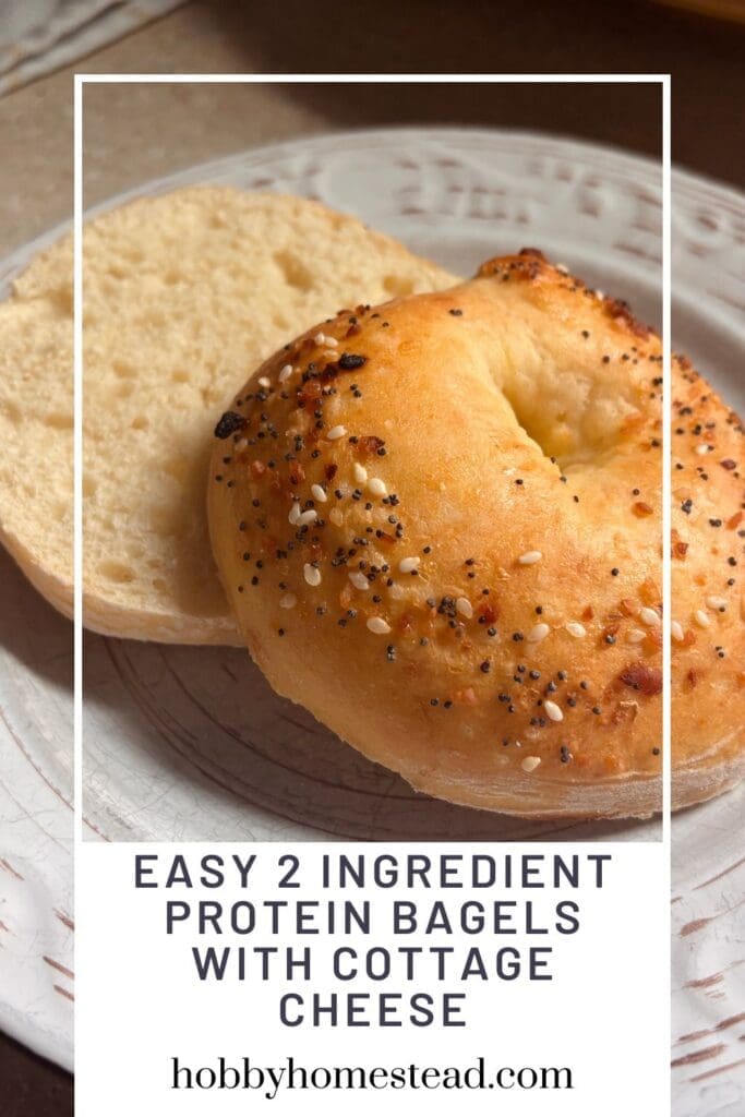 Easy 2 Ingredient Protein Bagels with Cottage Cheese