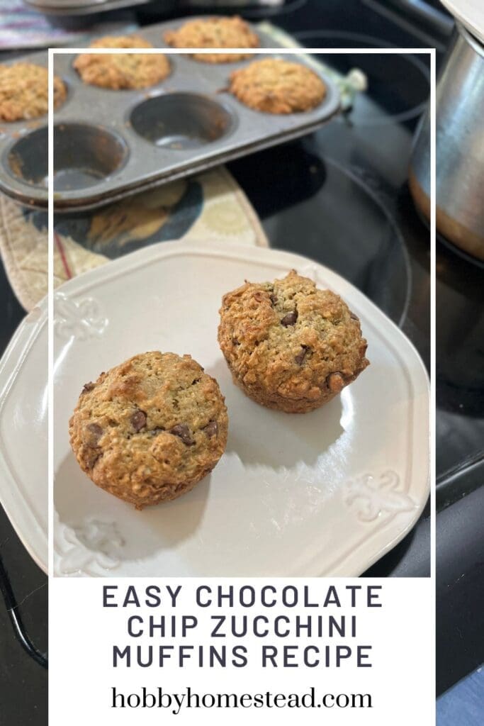 Easy Chocolate Chip Zucchini Muffins Recipe