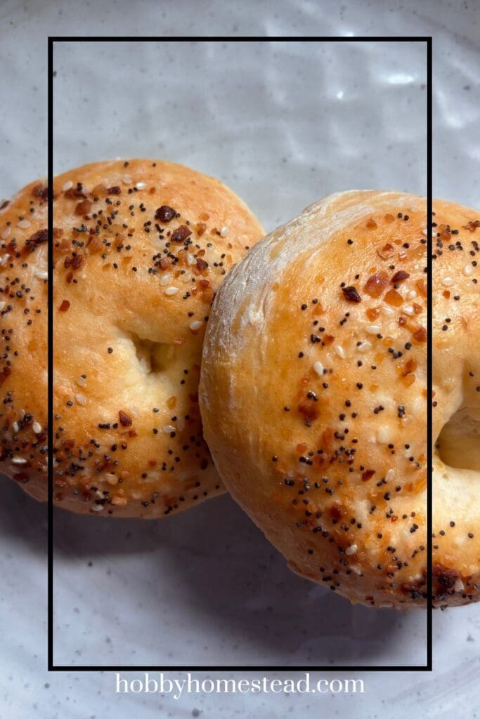 Easy Homemade Bagels in 40 Minutes