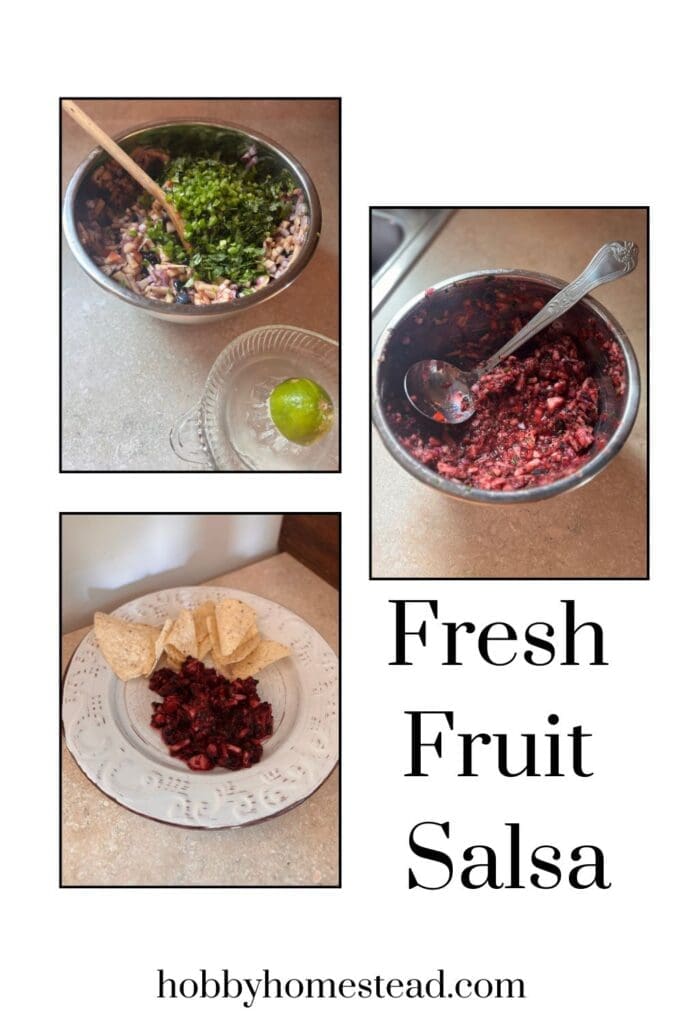 Fresh Fruit Salsa